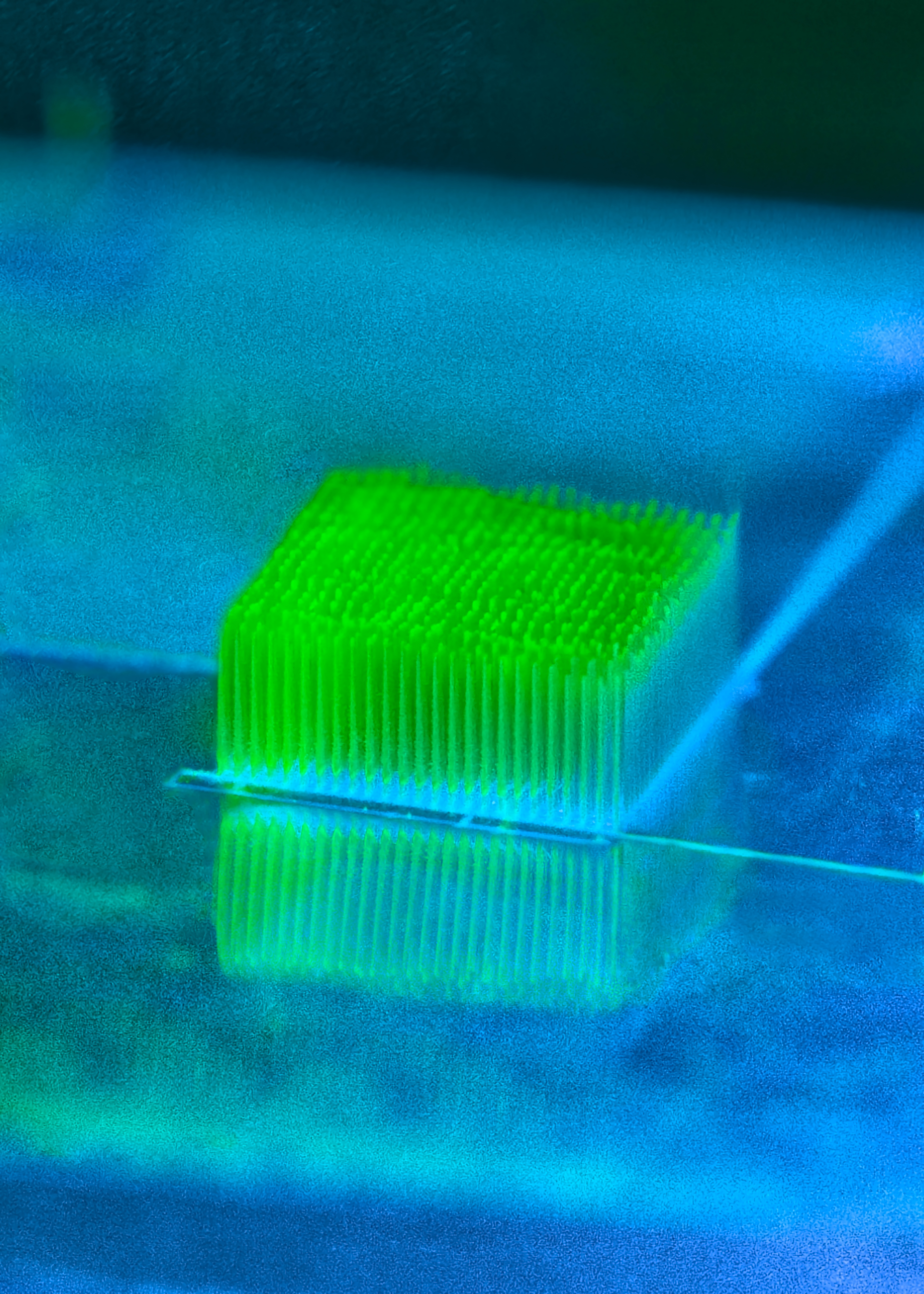 Electrode irradiated with light. JZZhang lab.