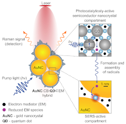 Figure from research article showing how nano camera works