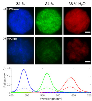 images of different coloured hydrogels