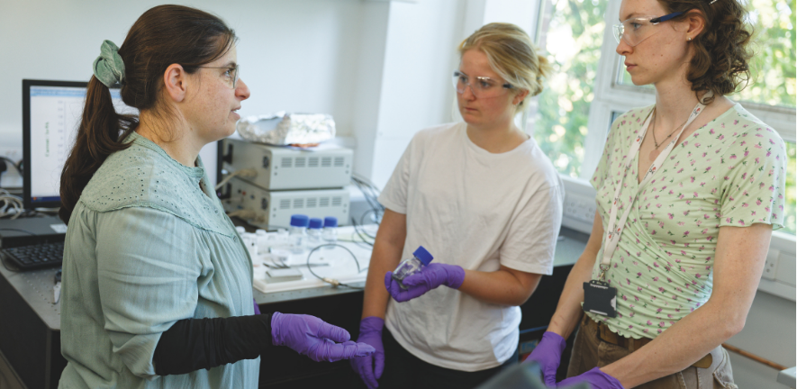 Svetlana Menkin group in the lab.