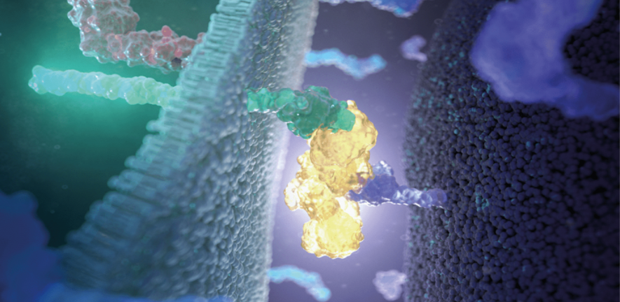 3D depiction of a molecular reaction inside the cells
