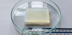 Image of the supergel in a dish with a ruler showing 7cm long