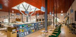 Library shelves, lights, and the tree of life scultpure.