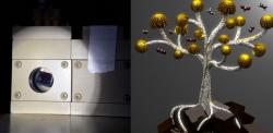 Left: the reactor. Right: a digital rendering of the copper nanoflowers on a tree.