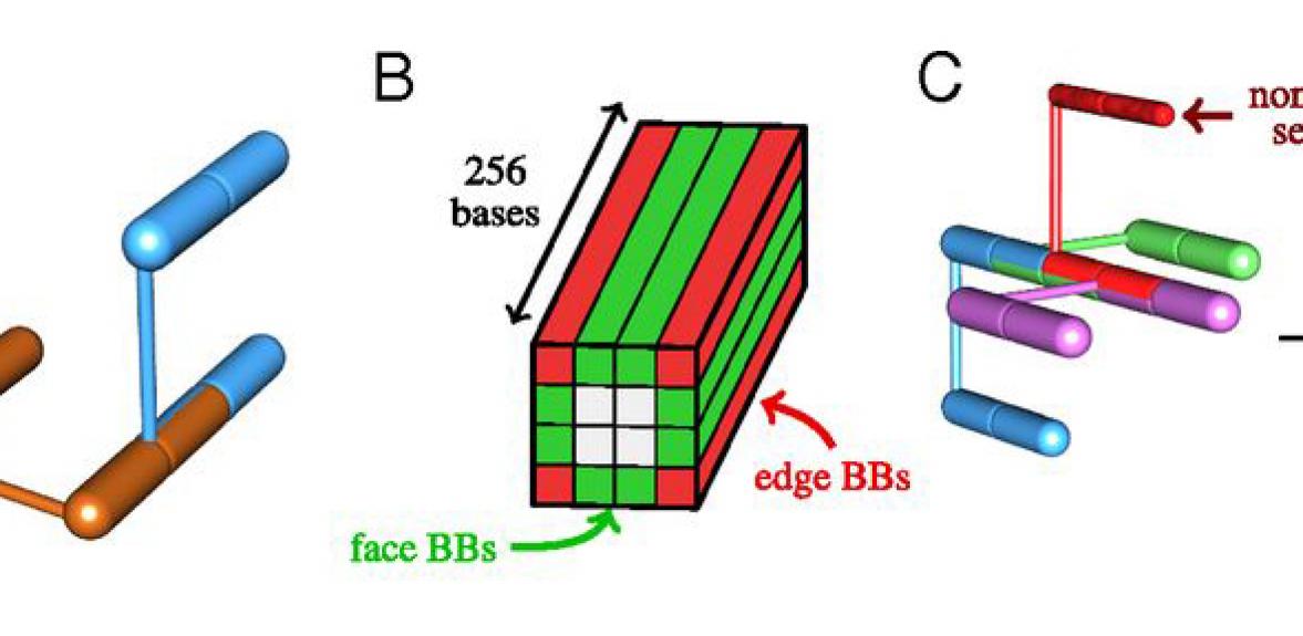 Optimising self-assembling molecular structures for use in diagnostics ...