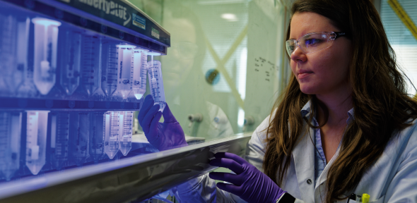 Sona examines tubes in the fume cupboard.