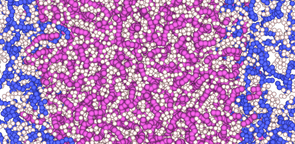 image of blue and magenta proteins within a cell compartment