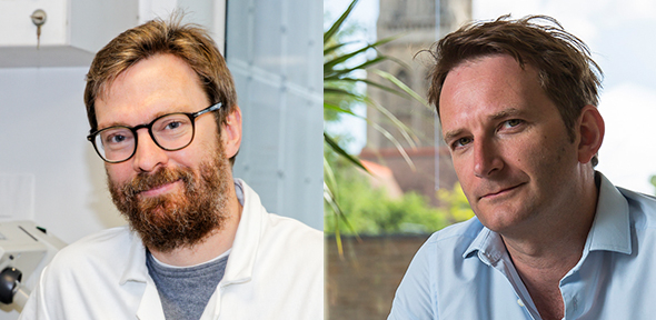 Professors Erwin Reisner and Matthew Gaunt head shots