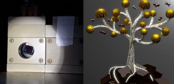 Left: the reactor. Right: a digital rendering of the copper nanoflowers on a tree.