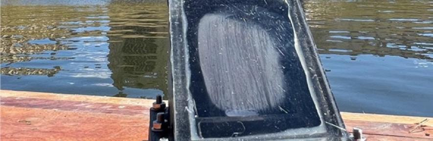 The artificial leaf on a punt on the Cam with punters in the background