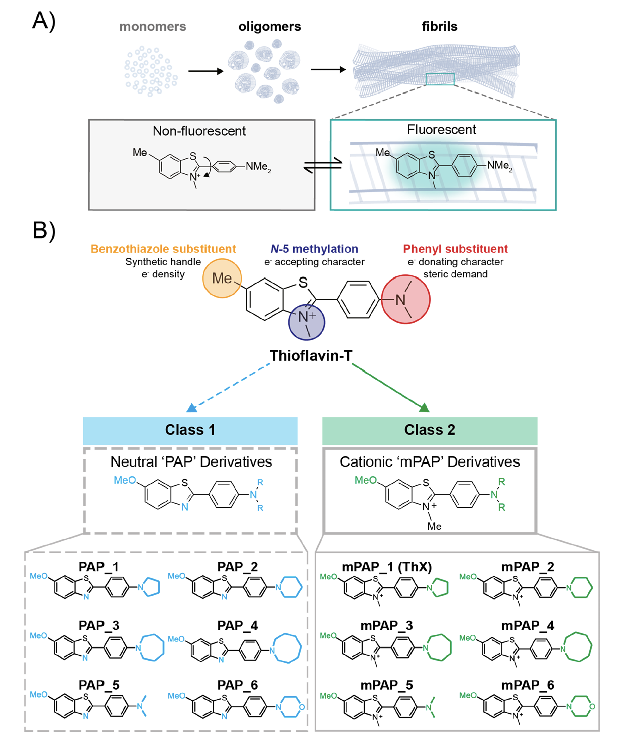 Cross-beta and fibril structure of amyloid fibrils (A) in the